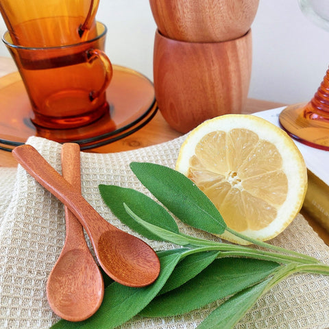 Khaya Wood Tea Spoon of set of 4